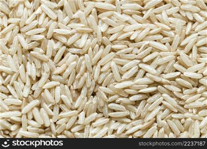 close up rice grains