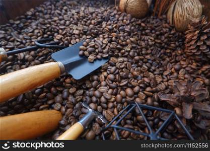 Close-up roasted coffee beans.