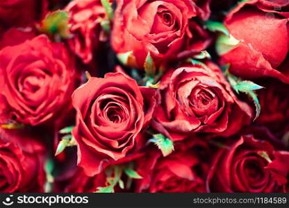 Close up rose background flowers romantic love valentine day concept , Multicolored flowers Bloom / Natural fresh red roses flower bouquet