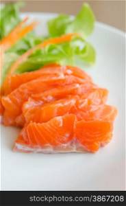 close up salmon sashimi , japanese style cuisine