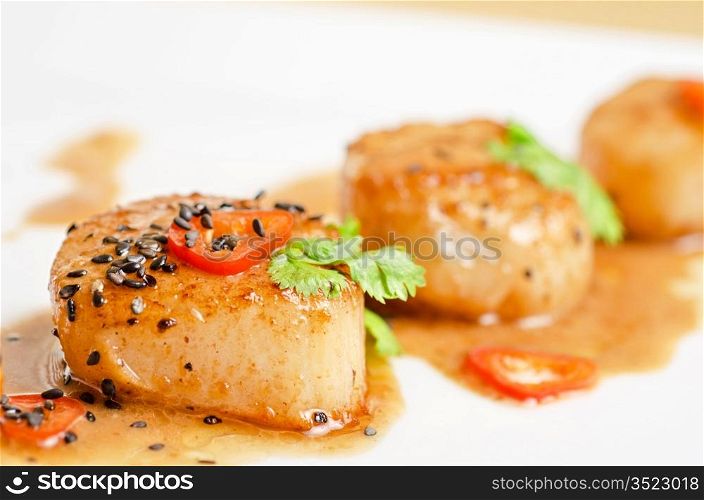 Close up Scallop seafood appetizer with spices