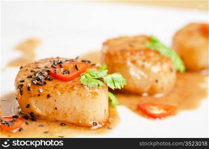 Close up Scallop seafood appetizer with spices
