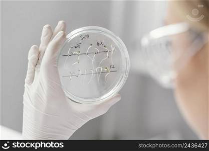 close up scientist holding petri dish