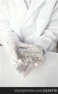 close up scientist holding petri dish with plant