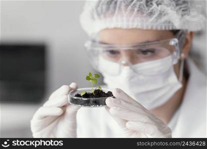 close up scientist watching plant