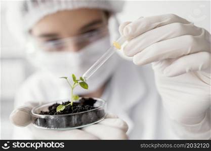 close up scientist watering plant