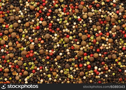 Close up selection of various pepper types