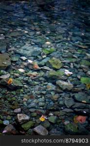 Close up shallow stream with clear water concept photo. Pure flow. Front view photography with rocky bottom on background. High quality picture for wallpaper, travel blog, magazine, article. Close up shallow stream with clear water concept photo