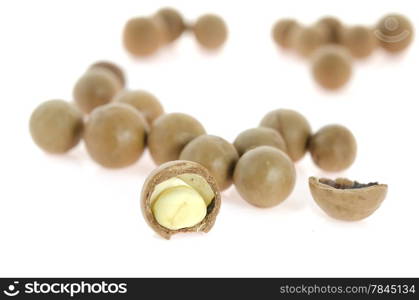 close up shelled macadamia nuts on white background