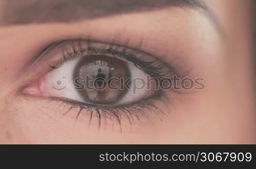 Close Up Shoot on Eye of Young Woman With Natural Makeup