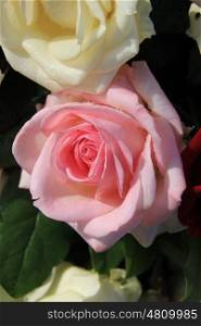 Close up shot of a big pink rose as part of a mixed floral arrangement