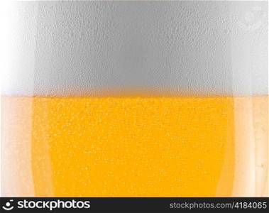 close-up shot of a glass of beer