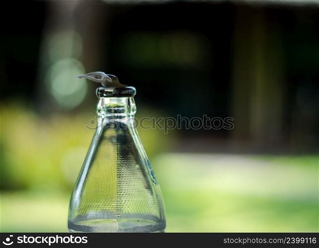 Close-up shot of a pull-open water bottle in the garden background.