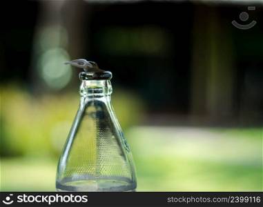 Close-up shot of a pull-open water bottle in the garden background.