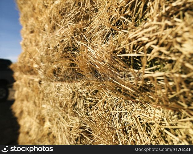 Close up shot of bale of hay.