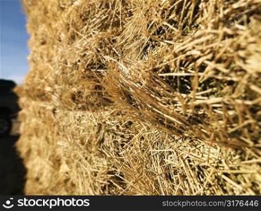 Close up shot of bale of hay.