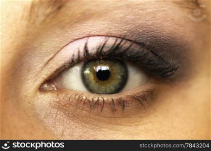 Close up shot of beautiful woman eye with pink violet make up, female face part
