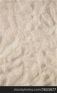 Close up shot of coral sand