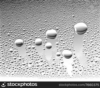 Close up shot of moist on window