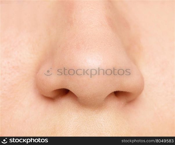 close up shot of nose