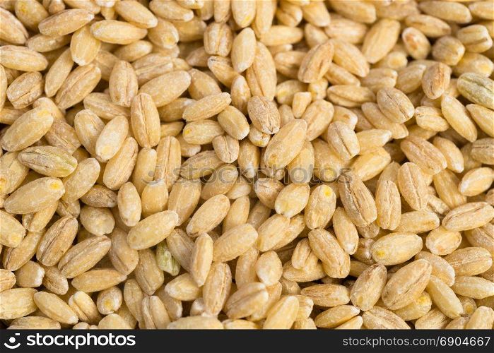Close up shot of Pearl Barley in a pile