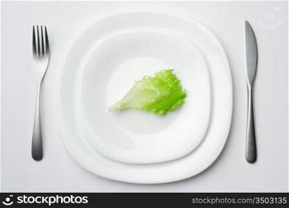 close-up shot of place setting with lettuce leaf 2