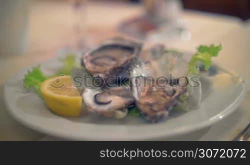 Close-up shot of pouring lemon juice on the open oysters served in restaurant. Delicious seafood