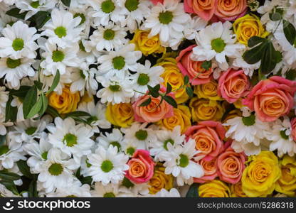 Close-up shot of the beautiful flowers. Suitable for floral background.