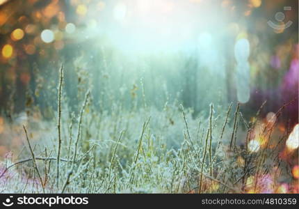 Close-up shot of the frozen grass in the winter morning in mountains.