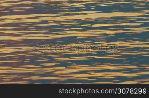 Close-up shot of water surface with reflection of golden sunset light