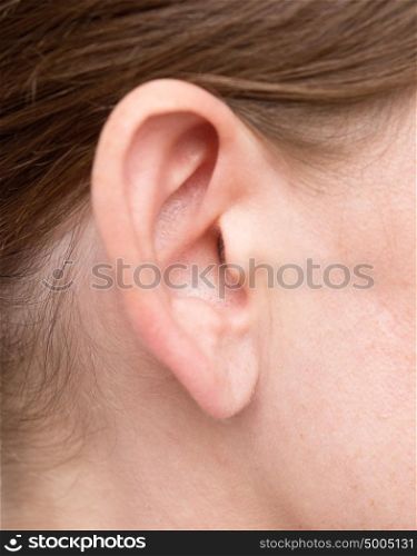 close up shot of woman ear