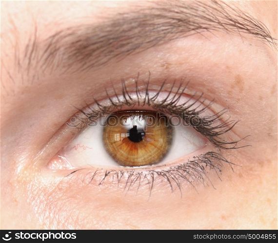 close up shot of woman eye