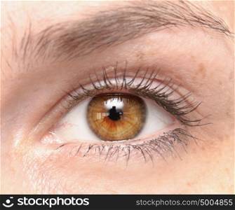 close up shot of woman eye