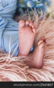 close up small baby feet