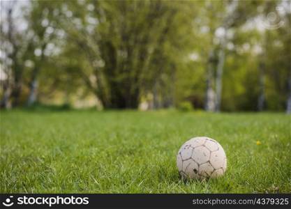 close up soccer ball grass