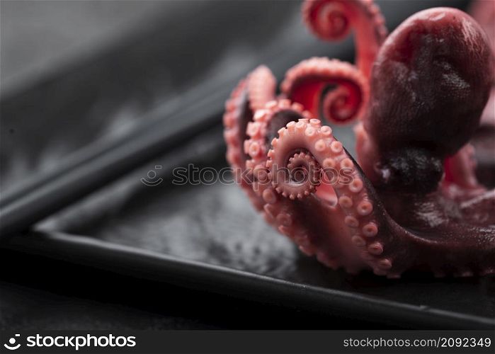close up squid plate