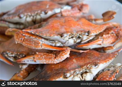 Close-up steamed blue crabs
