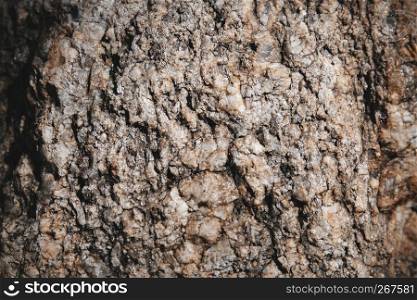 Close-up stone textured with tiny glitter and shiny sharp rock on the surface detail. Natural grunge abstract background.