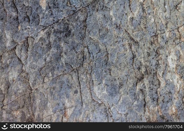 Close up texture and surface of old rock