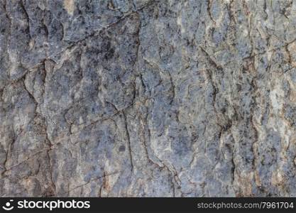 Close up texture and surface of old rock