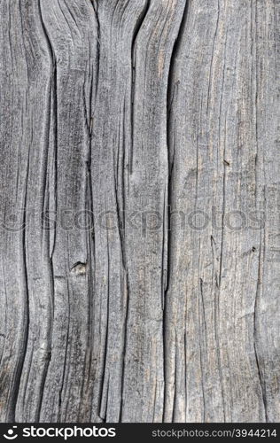 Close-up texture of an old dry cracked gray wooden plank