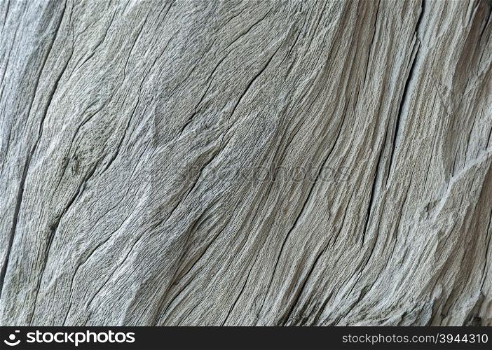 Close-up texture of an old dry cracked wood