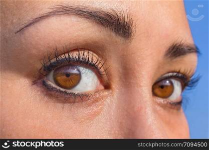 Close up two almond brown colored eyes in face of indian woman