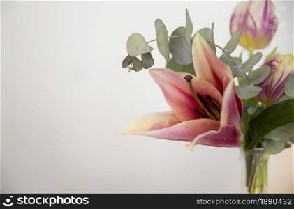 close up vase with lily eucalyptus populus leaves tulip against white background