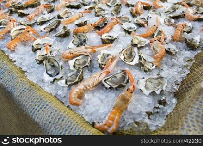 Close up view of a composition of shrimp and oysters on ice