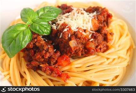 close-up view of a nest of spaghetti with bolognese sauce garnished with a sprig of Italian large-leafed basil