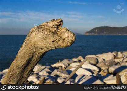 Close up view of a piece of wood that has the shape of prehistoric animal with sea and mountains in the background