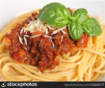 Close-up view of a plate of spaghetti bolognese, garnished with a sprig of Italian, large-leafed basil