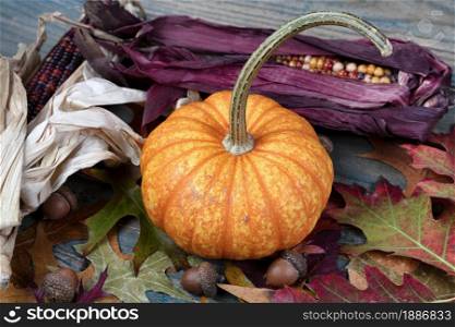 Close up view of a single real whole pumpkin, acorns and foliage leaves on blue weathered wooden planks for the Autumn holiday season of Halloween or Thanksgiving background