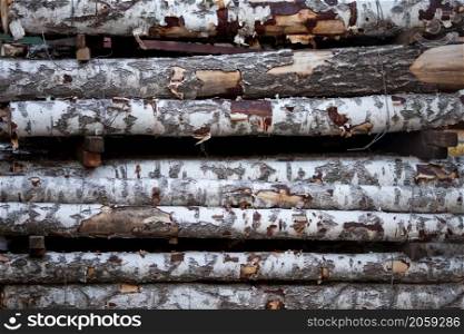 close up view of birch logs. birch logs